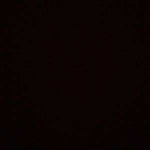 Meet your Posher, Lou